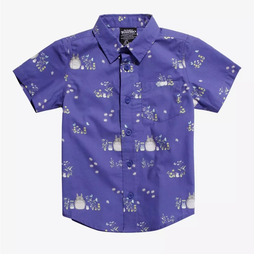 Desperately ISO!! Boys Totoro Shirt 4T/5T